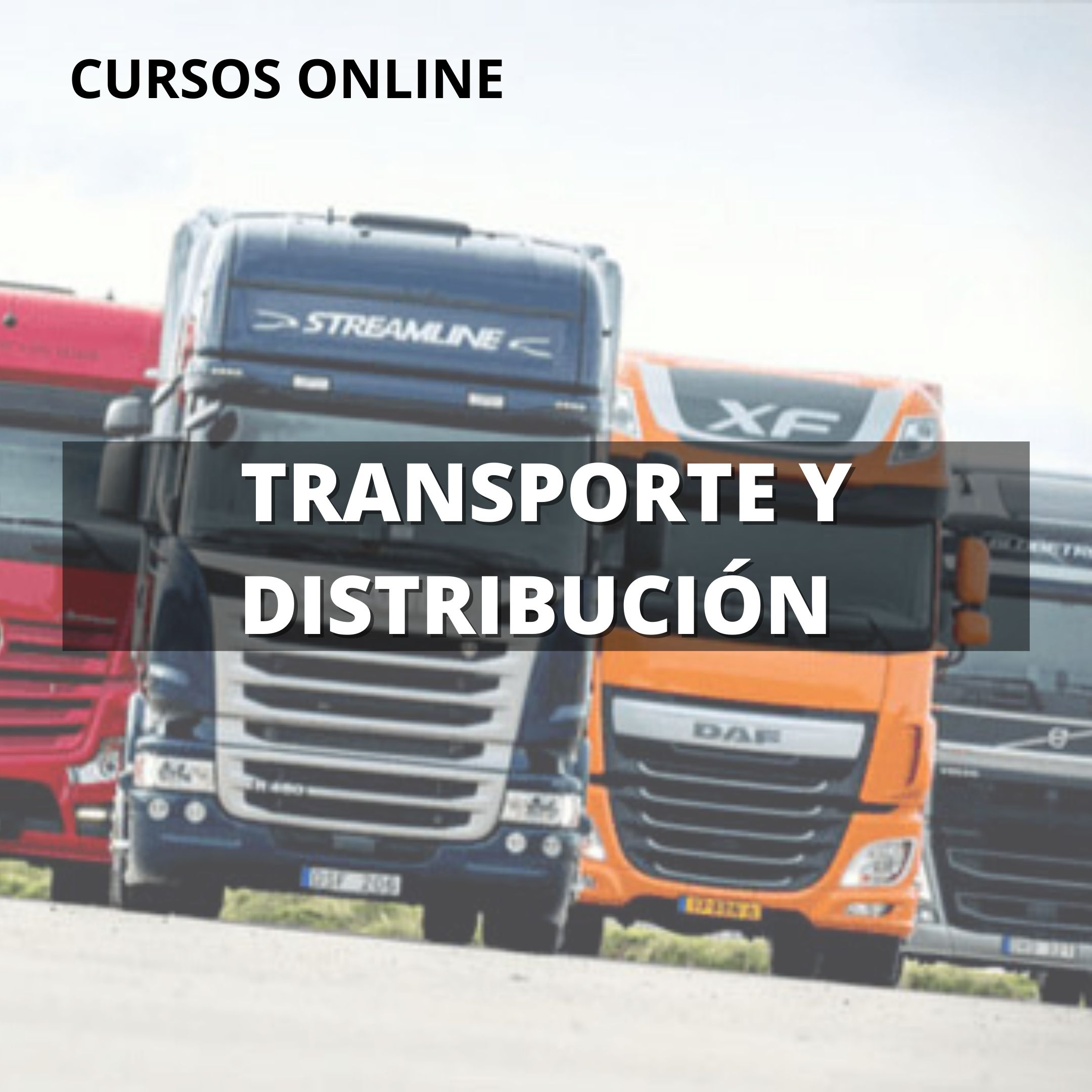 cursos online | transporte y distribución | Cámara de Comercio de Murcia | ADL Logística