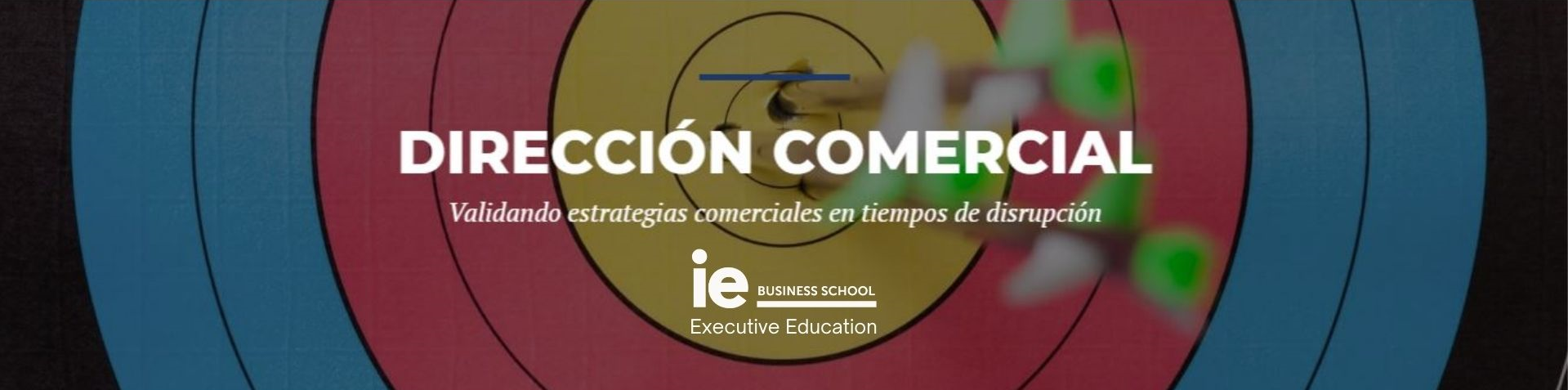 Programa Ejecutivo | Dirección Comercial | IE Business School | Cámara de Comercio de Murcia
