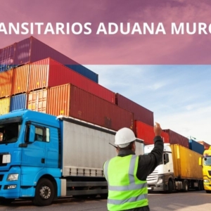 Transitarios Aduana Murcia