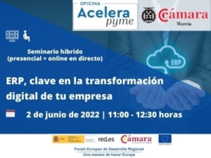 Seminario Oficina Acelera Pyme ERP