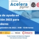 Oficina Acelera Pyme | Programas de ayudas para la digitalización de emprendedores | Cámara de Comercio de Murcia