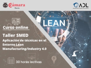 Curso-online-ADL-taller-smed-online-Cámara-Comercio-Murcia