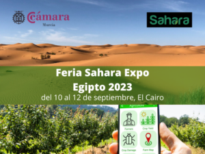 Participacion agrupada Feria Sahara Expo 2023