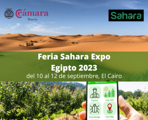Participacion agrupada Feria Sahara Expo 2023