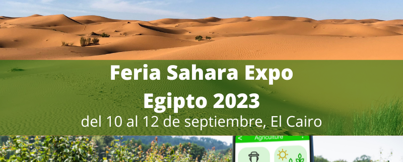 Participacion agrupada Feria Sahara Expo 2023