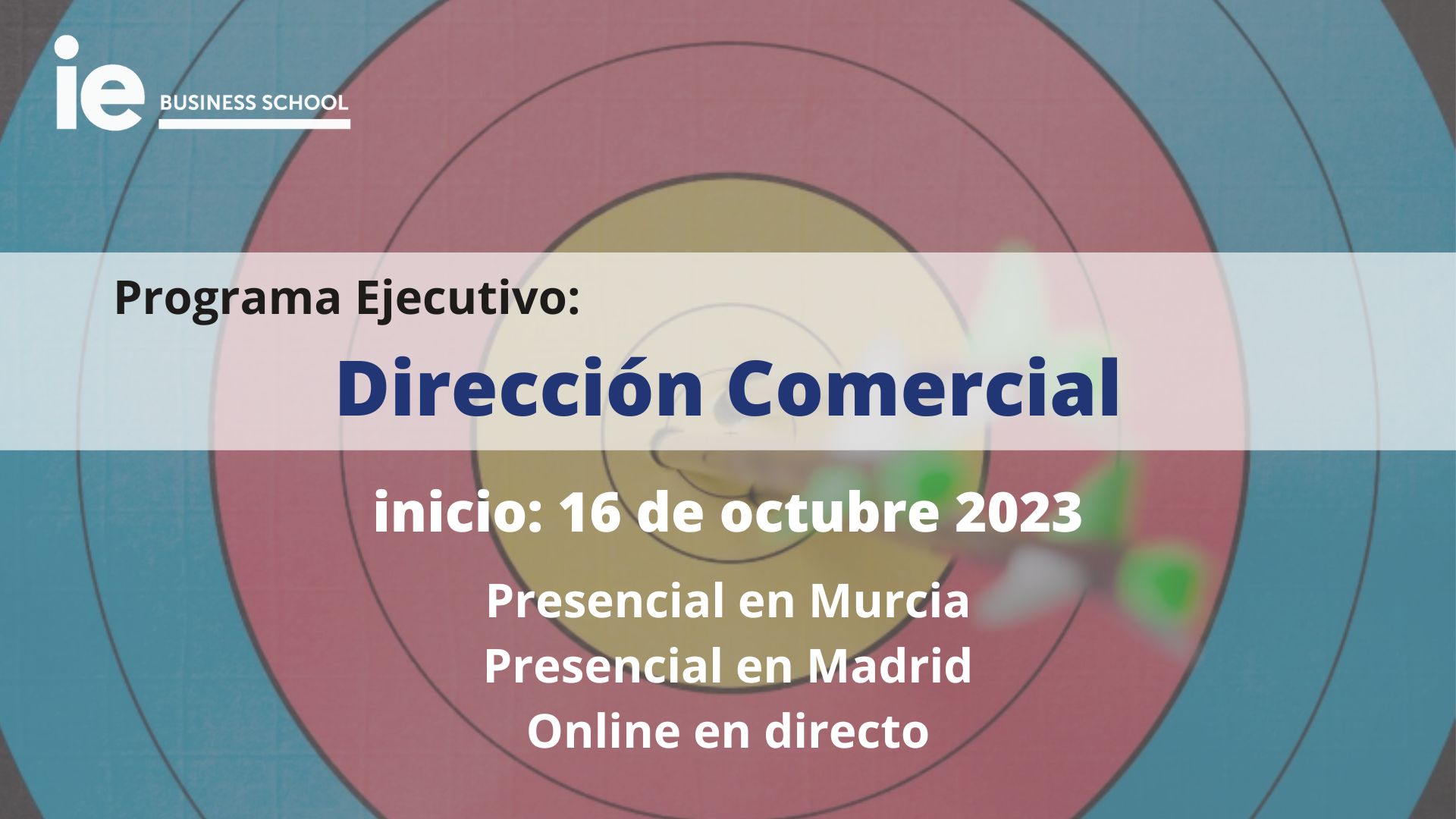 Programa Ejecutivo Dirección Comercial IE Business School