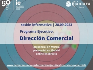 800 X 600 RRSS-direccion-comercial-programa-ejecutivo-ie-business-school-camara-comercio-murcia