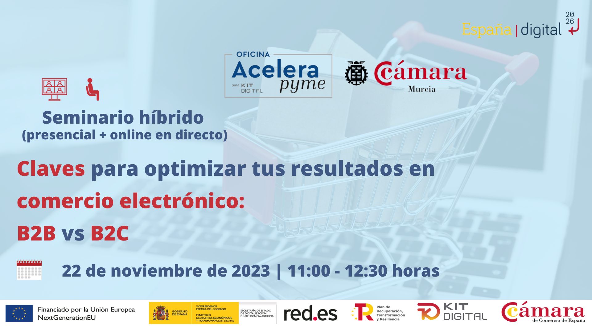 Oficina Acelera Pyme | Seminario | Claves para optimizar tus resultados en comercio electrónico: B2B vs B2C