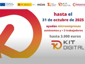 Programa de ayudas microempresas y autónomos | Kit Digital | Oficina Acelera Pyme