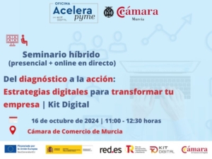 Seminario + Webinar | Del diagnóstico a la acción: Estrategias digitales para transformar tu empresa | Kit Digital | Oficina Acelera Pyme | Cámara de Comercio de Murcia