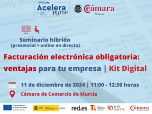 Seminario | Factura electrónica | Cámara de Comercio de Murcia | Oficina Acelera Pyme