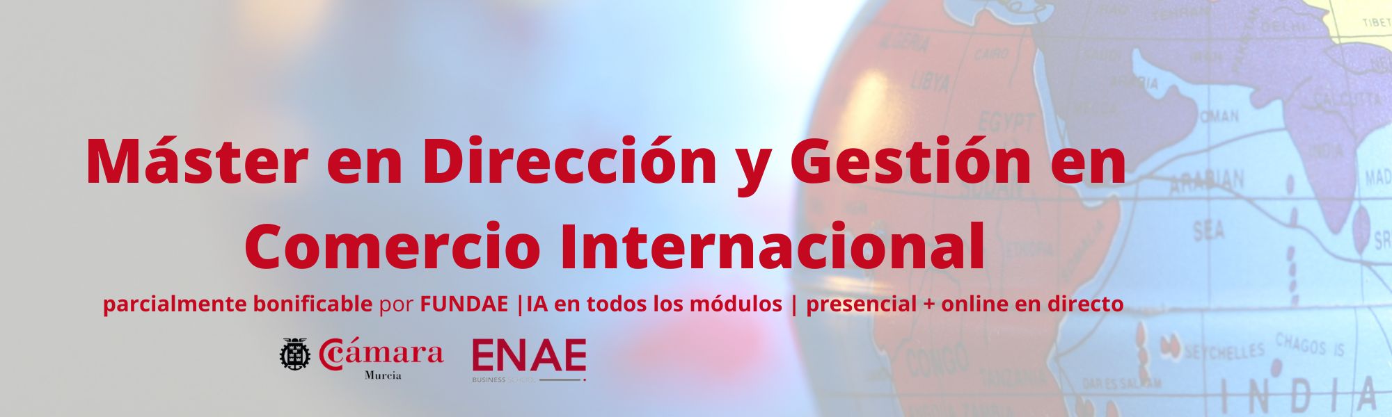 Máster en Dirección y Gestión en Comercio Internacional | Formación Ejecutiva | Cámara de Comercio de Murcia | ENAE Business School