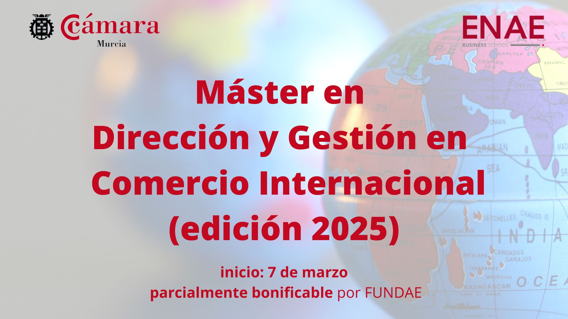 Máster Dirección y Gestión en Comercio Internacional | Cámara de Comercio de Murcia | Formación Ejecutiva