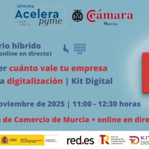 seminario+webinar | Cómo saber cuánto vale tu empresa gracias a la digitalización y la inteligencia artificial