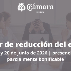 curso | taller de reducción del estres para profesionales y directivos | Cámara de Comercio de Murcia | Formación Ejecutiva