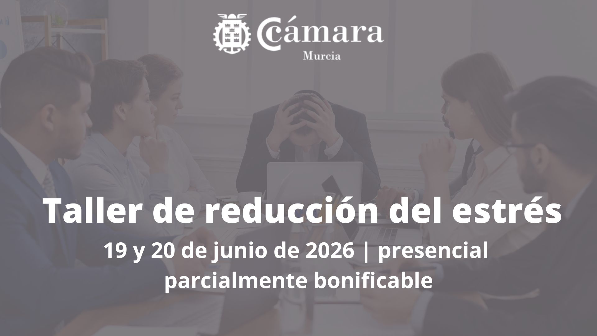 taller-reduccion-estres-camara-comercio-murcia curso | taller de reducción del estres para profesionales y directivos | Cámara de Comercio de Murcia | Formación Ejecutiva